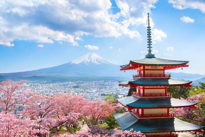 Tokyo Travel Guide : Culture, Attractions, and Modern Trends in Japan’s Capital